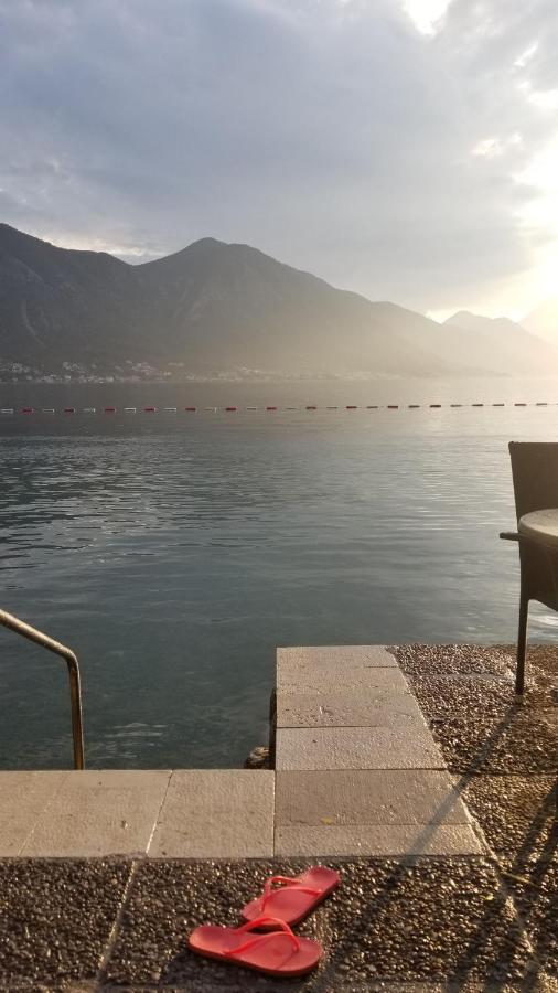 Azure Adriatic Lejlighed Kotor Eksteriør billede