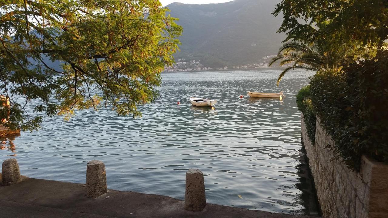 Azure Adriatic Lejlighed Kotor Eksteriør billede