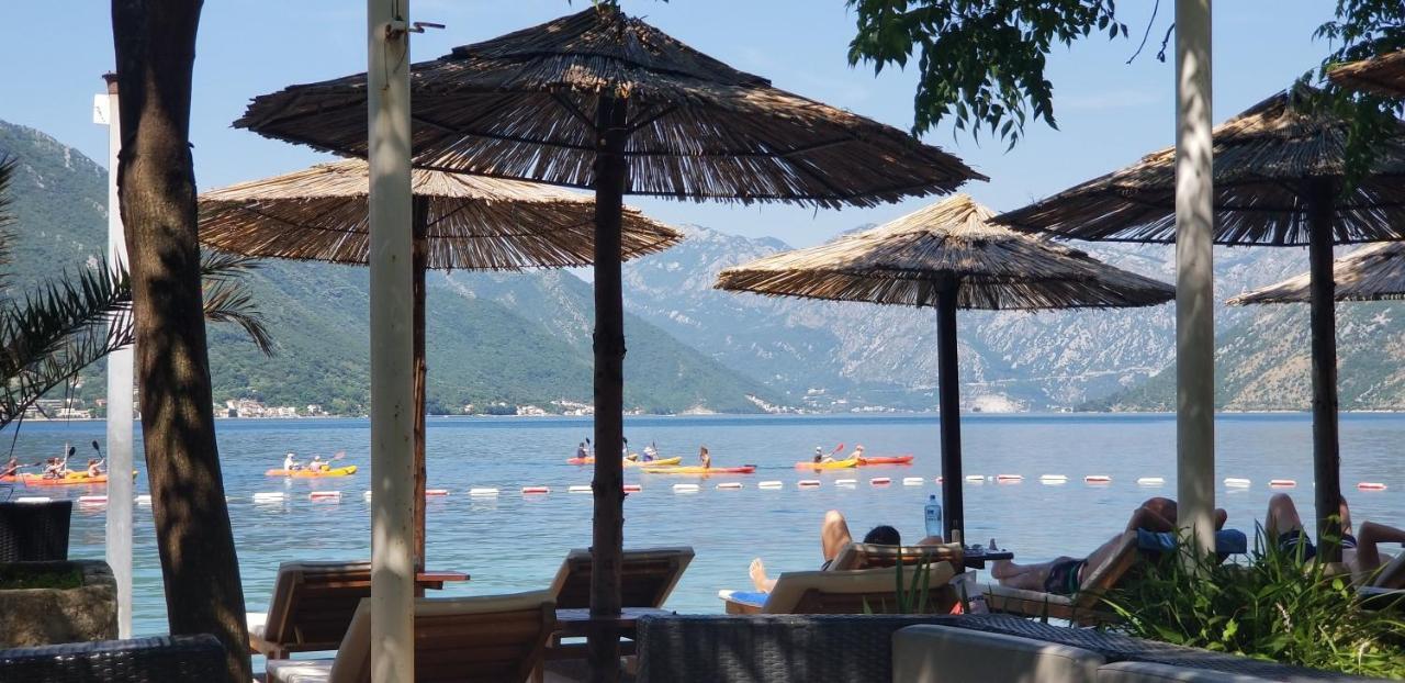 Azure Adriatic Lejlighed Kotor Eksteriør billede